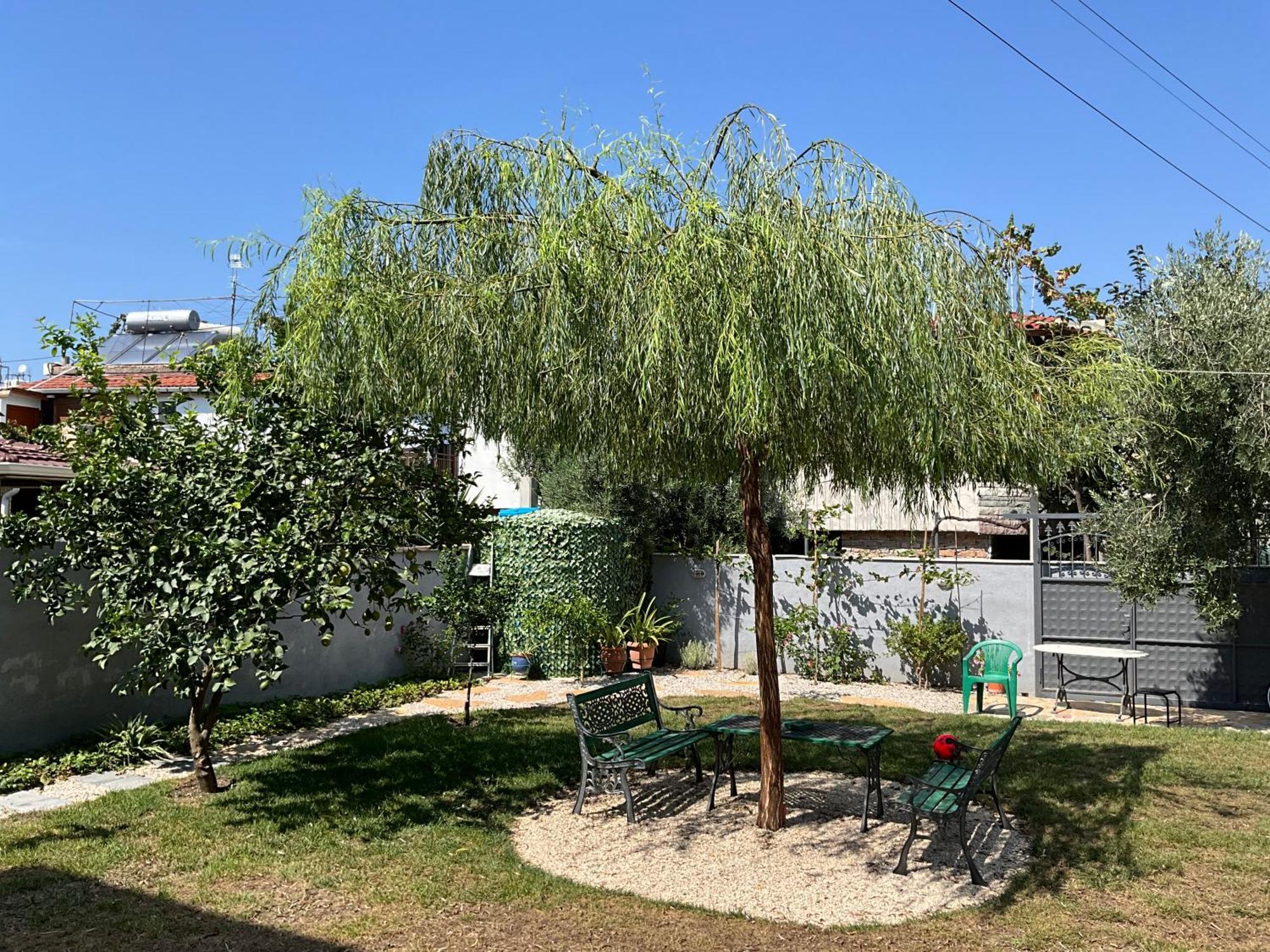 Vila Licenji Vlorë 외부 사진